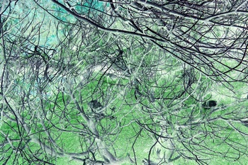 N 082A